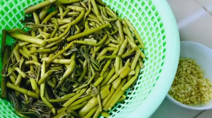 Hướng Dẫn Chi Tiết Cách Làm Rau Móp Xào Tỏi Thơm Ngon Chuẩn Vị