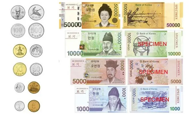 Hướng Dẫn Chi Tiết Cách Tính Tiền Việt Nam Sang Tiền Hàn Quốc (vnd Sang Krw)