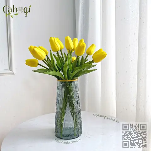 Cam Cao Phong Hòa Bình Giá Bao Nhiêu? Cập Nhật Mới Nhất 2024 Cam Cao Phong Hòa Bình Giá Bao Nhiêu? Cập Nhật Mới Nhất 2024