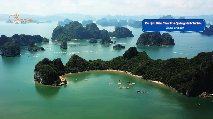 Cẩm Phả, Quảng Ninh Có Gì Chơi? Khám Phá 8+ Điểm Đến Hấp Dẫn Nhất Cẩm Phả, Quảng Ninh Có Gì Chơi? Khám Phá 8+ Điểm Đến Hấp Dẫn Nhất
