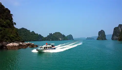 Cẩm Phả, Quảng Ninh Có Gì Chơi? Khám Phá 8+ Điểm Đến Hấp Dẫn Nhất Cẩm Phả, Quảng Ninh Có Gì Chơi? Khám Phá 8+ Điểm Đến Hấp Dẫn Nhất