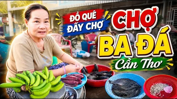 Cần Thơ Hôm Nay Có Gì? Khám Phá Điểm Đến Hấp Dẫn Và Tin Tức Mới Nhất