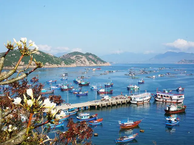 Cẩm Nang Toàn Diện: Cách Đi Từ Cảng Cam Ranh Đến Đảo Bình Ba Chi Tiết 2025 Cẩm Nang Toàn Diện: Cách Đi Từ Cảng Cam Ranh Đến Đảo Bình Ba Chi Tiết 2025