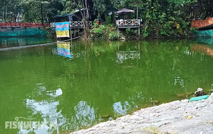 Khám Phá Các Hồ Câu Cá Dịch Vụ Tại Công Viên Lê Thị Riêng Quận 10: Kinh Nghiệm & Thông Tin Cần Biết Khám Phá Các Hồ Câu Cá Dịch Vụ Tại Công Viên Lê Thị Riêng Quận 10: Kinh Nghiệm & Thông Tin Cần Biết