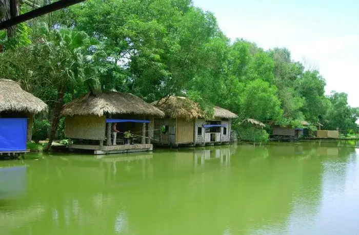 Top 10 Địa Điểm Câu Cá Giải Trí Lý Tưởng Nhất Tại Sài Gòn Hiện Nay