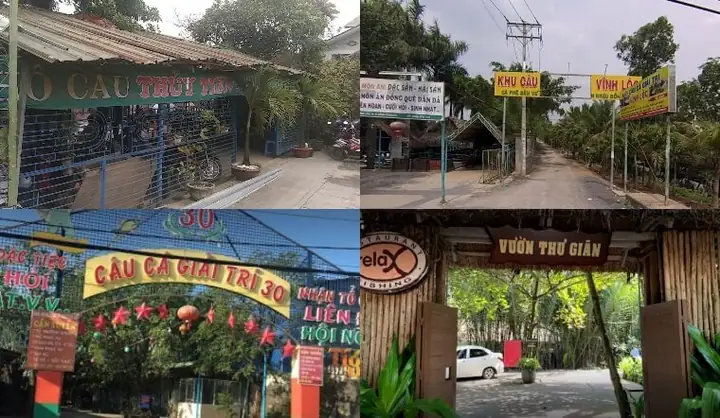 Top 10 Địa Điểm Câu Cá Giải Trí Lý Tưởng Nhất Tại Sài Gòn Hiện Nay
