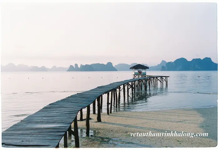Cầu Gỗ Bãi Dài Vân Đồn: Hướng Dẫn Check-in, Kinh Nghiệm Du Lịch Toàn Diện