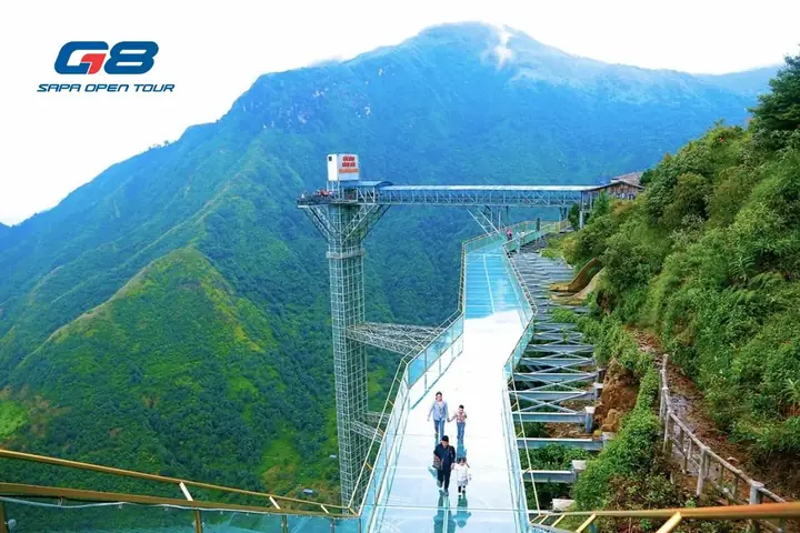 Cầu Kính Rồng Mây Sapa: Kinh Nghiệm Chinh Phục Đỉnh Cao Ô Quy Hồ Từ A-z