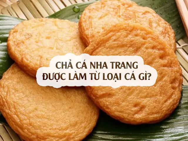 Chả Cá Nha Trang Làm Từ Cá Gì? Các Loại Cá Ngon Phổ Biến Nhất