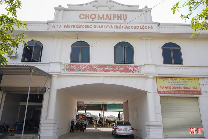 Top Chợ Dân Sinh Nha Trang: Địa Chỉ, Kinh Nghiệm Mua Sắm & Đặc Sản