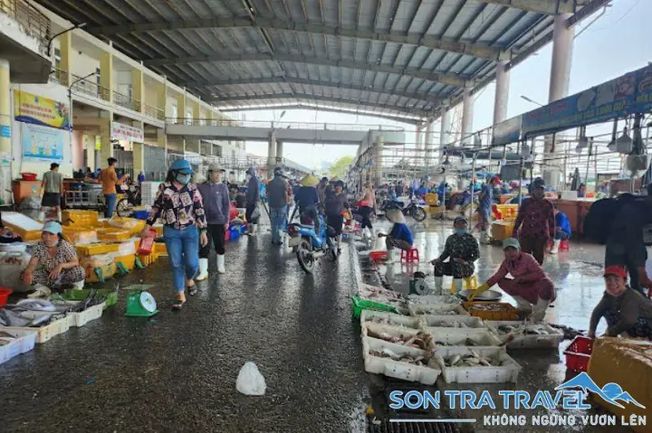 Chợ Đầu Mối Thủy Sản Thọ Quang: Hướng Dẫn Chi Tiết Từ A-z
