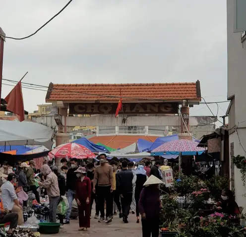 Chợ Hàng Hải Phòng: Địa Điểm, Thời Gian Họp Và Những Điều Thú Vị Chợ Hàng Hải Phòng: Địa Điểm, Thời Gian Họp Và Những Điều Thú Vị