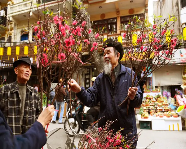 Chợ Hoa Ngày Tết Hà Nội: Khám Phá Địa Điểm Đẹp, Nổi Tiếng Nhất