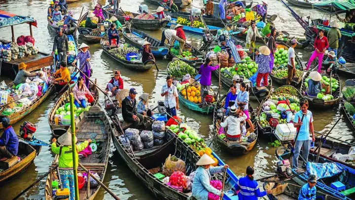 Chợ Nổi Cái Bè Tiền Giang: Khám Phá Nét Văn Hóa Sông Nước & Kinh Nghiệm Du Lịch Từ A-z 75 Chợ Nổi Cái Bè Tiền Giang: Khám Phá Nét Văn Hóa Sông Nước & Kinh Nghiệm Du Lịch Từ A-z