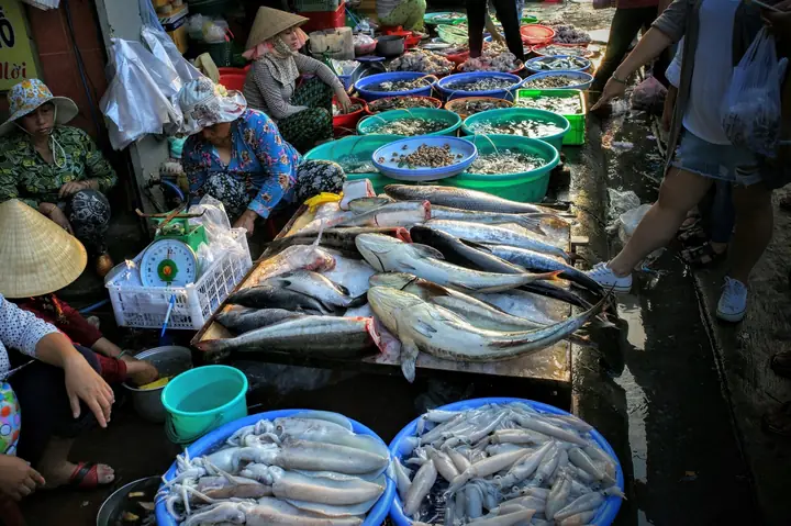 Chợ Xóm Lưới Vũng Tàu Mấy Giờ Đóng Cửa? Thời Gian Hoạt Động & Kinh Nghiệm Mua Hải Sản Chợ Xóm Lưới Vũng Tàu Mấy Giờ Đóng Cửa? Thời Gian Hoạt Động & Kinh Nghiệm Mua Hải Sản