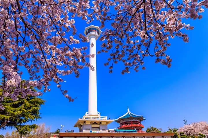 Chơi Gì Ở Busan: Khám Phá Thành Phố Biển Hàn Quốc Đầy Sức Hút Chơi Gì Ở Busan: Khám Phá Thành Phố Biển Hàn Quốc Đầy Sức Hút
