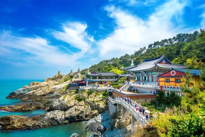 Chơi Gì Ở Busan: Khám Phá Thành Phố Biển Hàn Quốc Đầy Sức Hút Chơi Gì Ở Busan: Khám Phá Thành Phố Biển Hàn Quốc Đầy Sức Hút