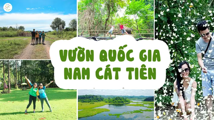 Nam Cát Tiên Có Gì Chơi: Trải Nghiệm Thiên Nhiên Độc Đáo Từ A-z