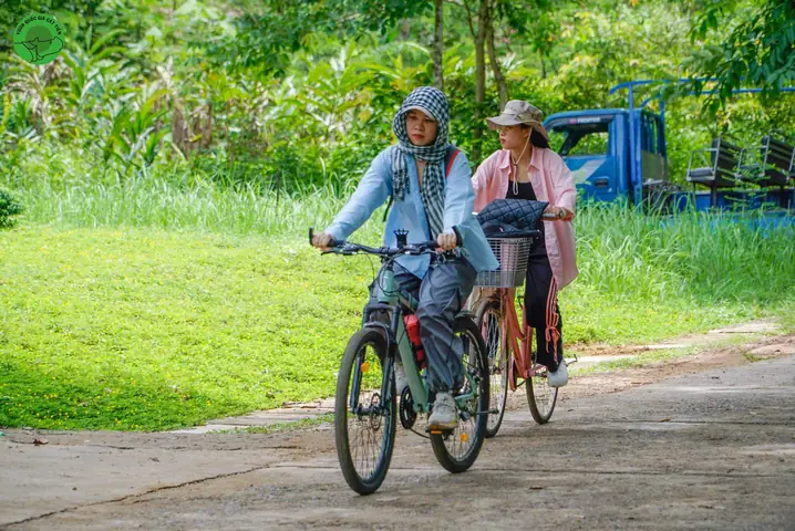 Nam Cát Tiên Có Gì Chơi: Trải Nghiệm Thiên Nhiên Độc Đáo Từ A-z