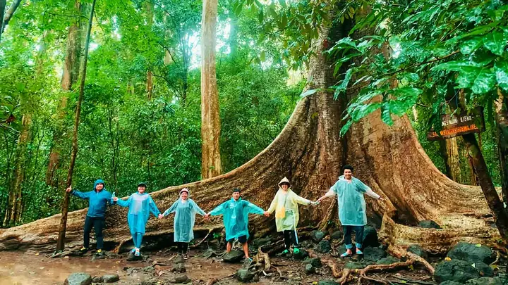 Nam Cát Tiên Có Gì Chơi: Trải Nghiệm Thiên Nhiên Độc Đáo Từ A-z