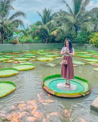 Khám Phá Chùa Lá Sen Đồng Tháp: Điểm Đến Độc Đáo Với "vua" Sen Khổng Lồ Khám Phá Chùa Lá Sen Đồng Tháp: Điểm Đến Độc Đáo Với "vua" Sen Khổng Lồ