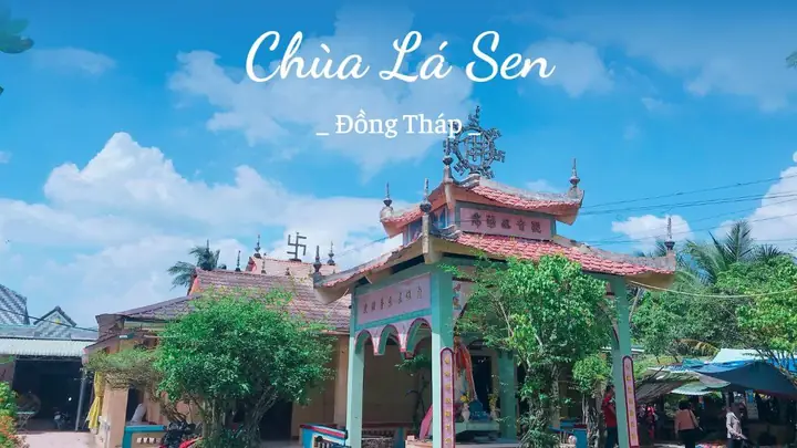 Khám Phá Chùa Lá Sen Đồng Tháp: Điểm Đến Độc Đáo Với "vua" Sen Khổng Lồ 5 Khám Phá Chùa Lá Sen Đồng Tháp: Điểm Đến Độc Đáo Với “vua” Sen Khổng Lồ