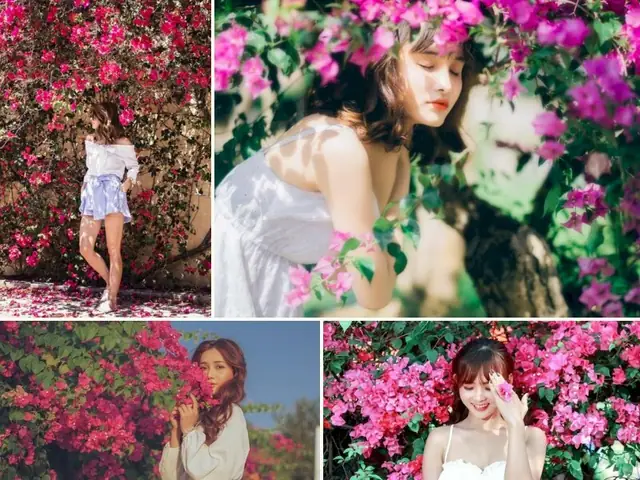 Chụp Ảnh Với Giàn Hoa Giấy: Hướng Dẫn Tạo Dáng Chuẩn Nàng Thơ & Outfit Phù Hợp Chụp Ảnh Với Giàn Hoa Giấy: Hướng Dẫn Tạo Dáng Chuẩn Nàng Thơ & Outfit Phù Hợp