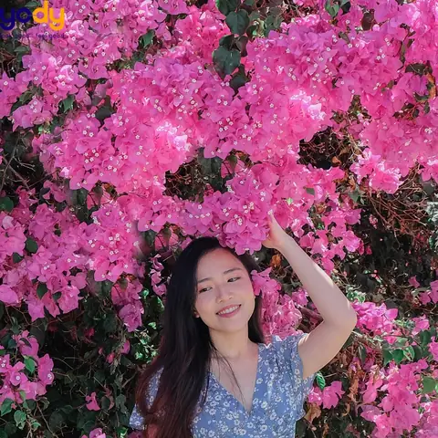 Chụp Ảnh Với Giàn Hoa Giấy: Hướng Dẫn Tạo Dáng Chuẩn Nàng Thơ & Outfit Phù Hợp