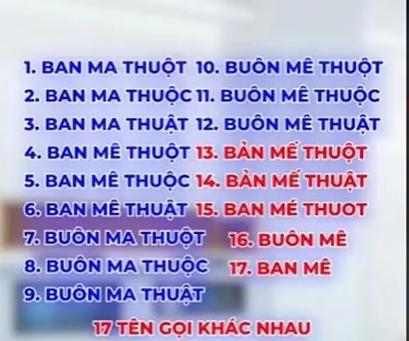 Việt Nam Có Bao Nhiêu Thành Phố? Cập Nhật Mới Nhất & Danh Sách Chi Tiết