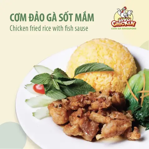 Cơm Gà Singapore Hải Phòng: Địa Chỉ, Menu & Review Quán Ngon Văn Cao