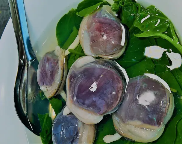 Con Ngán Biển Là Con Gì? Đặc Điểm, Tác Dụng Và Cách Chế Biến Ngon Chuẩn Vị Quảng Ninh