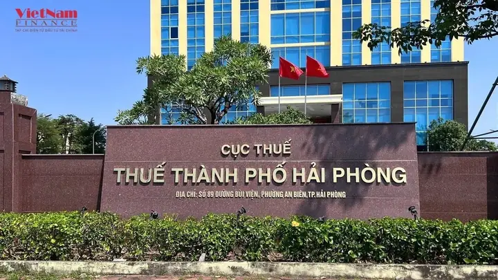 Công Ty Bắc Việt Hải Phòng: Thông Tin Chi Tiết, Ngành Nghề & Địa Chỉ