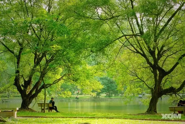 Vườn Bách Thảo Hà Nội Ở Đâu: Vị Trí, Cách Di Chuyển Và Kinh Nghiệm Tham Quan Vườn Bách Thảo Hà Nội Ở Đâu: Vị Trí, Cách Di Chuyển Và Kinh Nghiệm Tham Quan