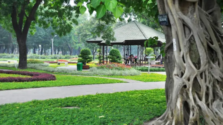 Công Viên Gò Vấp: Khám Phá Không Gian Xanh, Địa Điểm Vui Chơi & Kinh Nghiệm Tham Quan