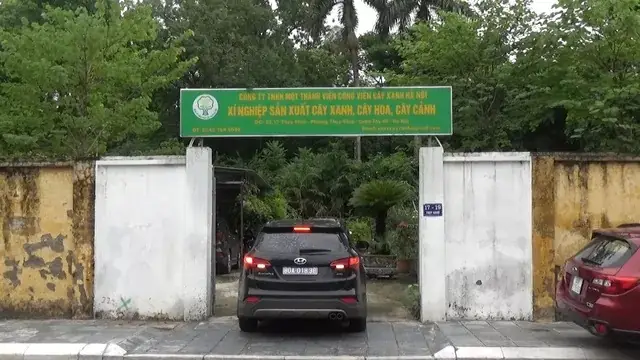 Top Công Viên Cây Xanh Hà Nội: Khám Phá Điểm Đến Xanh Mát Và Thư Giãn Top Công Viên Cây Xanh Hà Nội: Khám Phá Điểm Đến Xanh Mát Và Thư Giãn