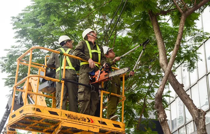 Top Công Viên Cây Xanh Hà Nội: Khám Phá Điểm Đến Xanh Mát Và Thư Giãn Top Công Viên Cây Xanh Hà Nội: Khám Phá Điểm Đến Xanh Mát Và Thư Giãn