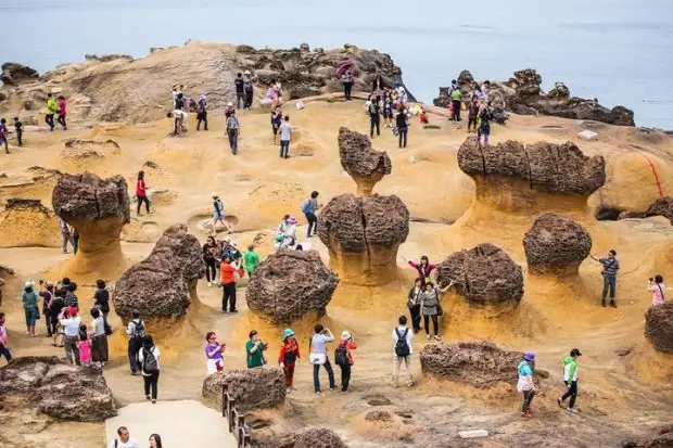 Khám Phá Công Viên Địa Chất Dã Liễu (yehliu): Trải Nghiệm Kỳ Quan Đá Tự Nhiên Độc Đáo Ở Đài Loan Khám Phá Công Viên Địa Chất Dã Liễu (yehliu): Trải Nghiệm Kỳ Quan Đá Tự Nhiên Độc Đáo Ở Đài Loan