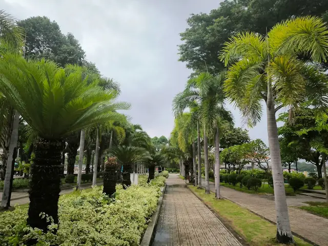 Khám Phá Công Viên Quận Bình Thạnh: Top Địa Điểm Xanh Mát & Thư Giãn