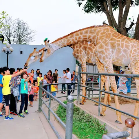 Công Viên Thiên Đường Bảo Sơn Hà Nội: Giá Vé, Kinh Nghiệm Vui Chơi Toàn Diện 2026