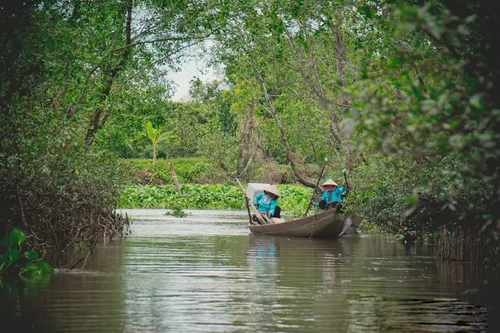 Cù Lao An Bình Vĩnh Long: Vị Trí, Cách Di Chuyển Và Những Trải Nghiệm Hấp Dẫn