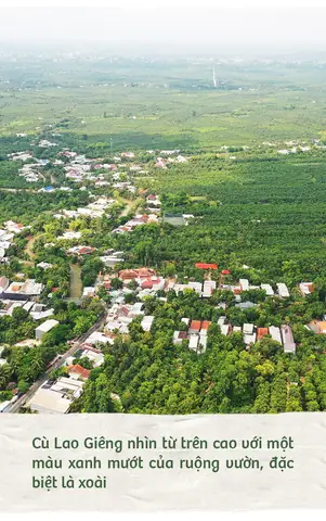 Cù Lao Là Vùng Đất Như Thế Nào? Định Nghĩa, Đặc Điểm Và Sự Khác Biệt Với Cồn