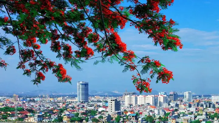 Danh Sách Các Chùa Linh Thiêng Và Nổi Tiếng Nhất Tại Hải Phòng: Khám Phá Điểm Đến Tâm Linh Hấp Dẫn 23 Danh Sách Các Chùa Linh Thiêng Và Nổi Tiếng Nhất Tại Hải Phòng: Khám Phá Điểm Đến Tâm Linh Hấp Dẫn