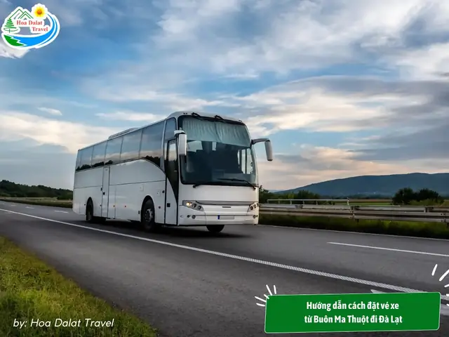 Đặt Vé Xe Buôn Ma Thuột Đi Đà Lạt: Giá Vé, Lịch Trình & Nhà Xe Uy Tín 2026 12 Đặt Vé Xe Buôn Ma Thuột Đi Đà Lạt: Giá Vé, Lịch Trình & Nhà Xe Uy Tín 2026
