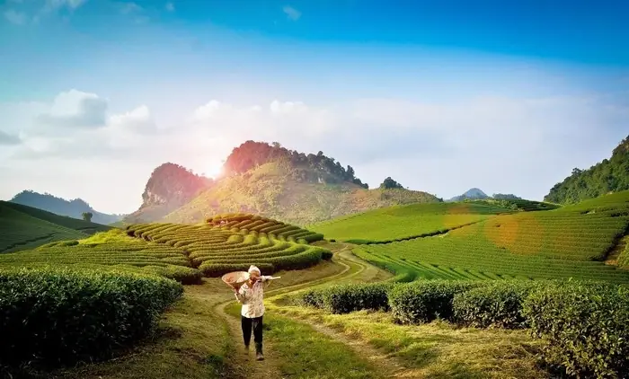 Du Lịch Mộc Châu Mùa Nào Đẹp Nhất & Trải Nghiệm Tuyệt Vời Nhất Theo Từng Thời Điểm 21 Du Lịch Mộc Châu Mùa Nào Đẹp Nhất & Trải Nghiệm Tuyệt Vời Nhất Theo Từng Thời Điểm