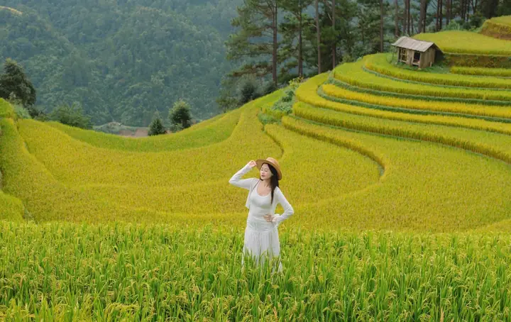 Đi Mù Cang Chải Tháng Mấy Đẹp Nhất? Khám Phá Mùa Vàng, Mùa Nước Đổ & Lễ Hội