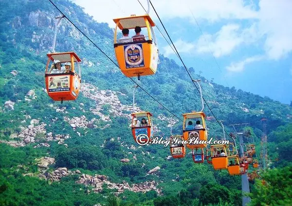 Hướng Dẫn Chi Tiết Cách Đi Từ Sài Gòn Đến Núi Bà Đen Tây Ninh: Lộ Trình & Phương Tiện Hướng Dẫn Chi Tiết Cách Đi Từ Sài Gòn Đến Núi Bà Đen Tây Ninh: Lộ Trình & Phương Tiện