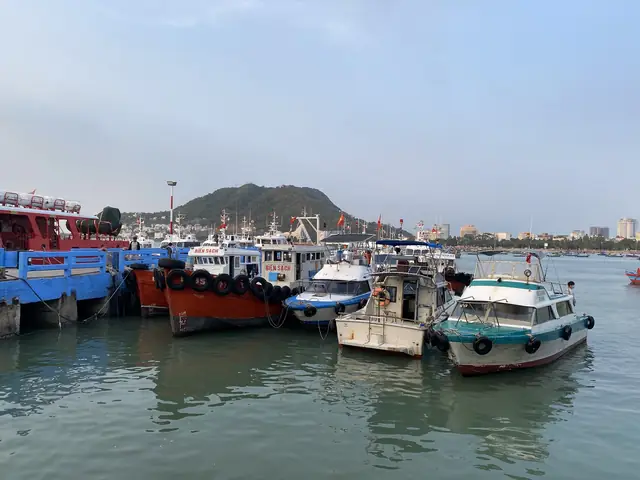 Dịch Vụ Câu Cá Biển Vũng Tàu: Trọn Gói Trải Nghiệm, Thuê Tàu & Cano