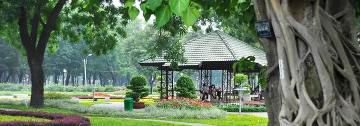 Công Viên Gia Định: Diện Tích, Quy Mô Và Những Trải Nghiệm Hấp Dẫn Nhất