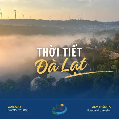 Dự Báo Thời Tiết Đà Lạt Tháng 1: Nhiệt Độ, Mưa & Kinh Nghiệm Du Lịch Dự Báo Thời Tiết Đà Lạt Tháng 1: Nhiệt Độ, Mưa & Kinh Nghiệm Du Lịch