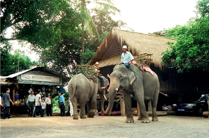 Du Lịch Buôn Ma Thuột: Kinh Nghiệm, Địa Điểm & Lịch Trình Chi Tiết 2026